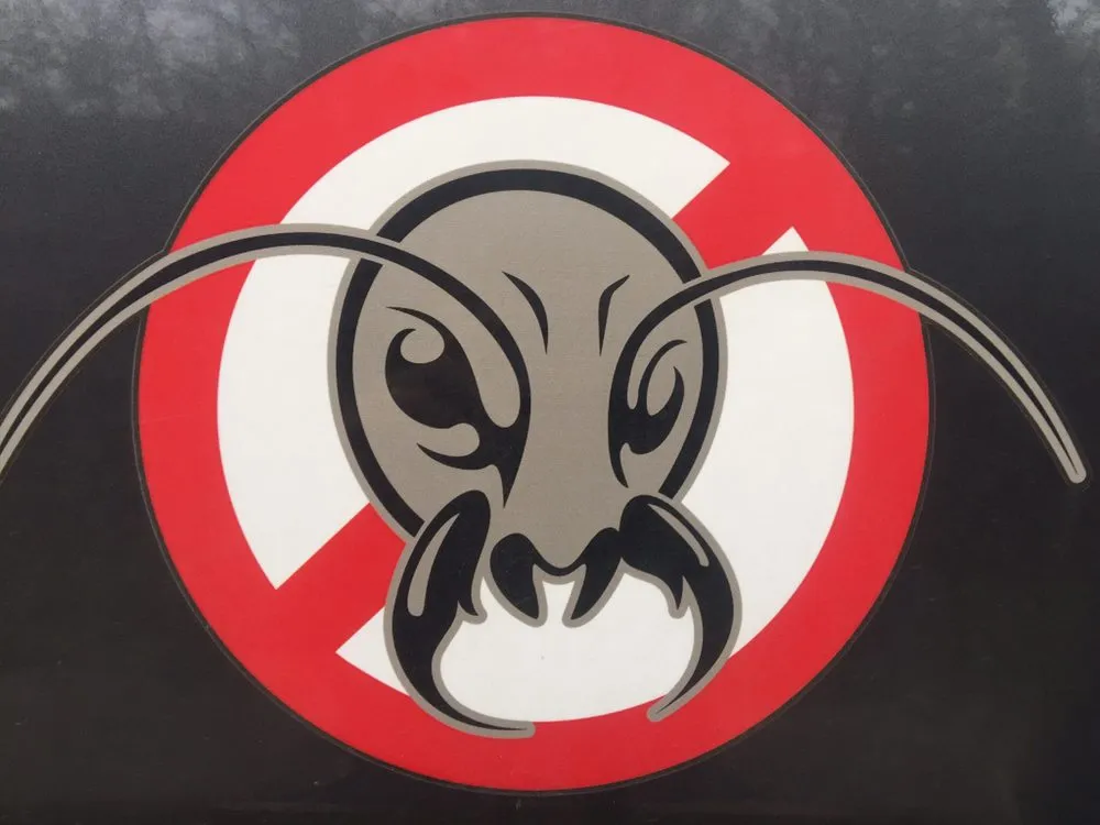 Expert yard maintenance in Brandon, VT - Pockette Pest Control