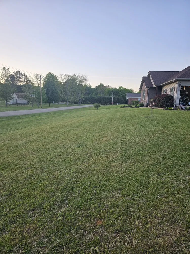 Custom yard cleanup service for beautiful yards across Iuka, MS - Pod's Lawn and Landscape