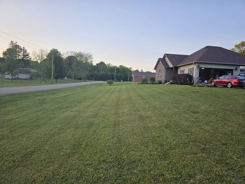 Reliable yard cleanup service in Iuka, MS by Pod's Lawn and Landscape