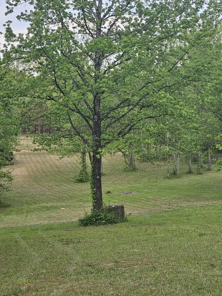 Reliable lawn care service in Iuka, MS by Pod's Lawn and Landscape