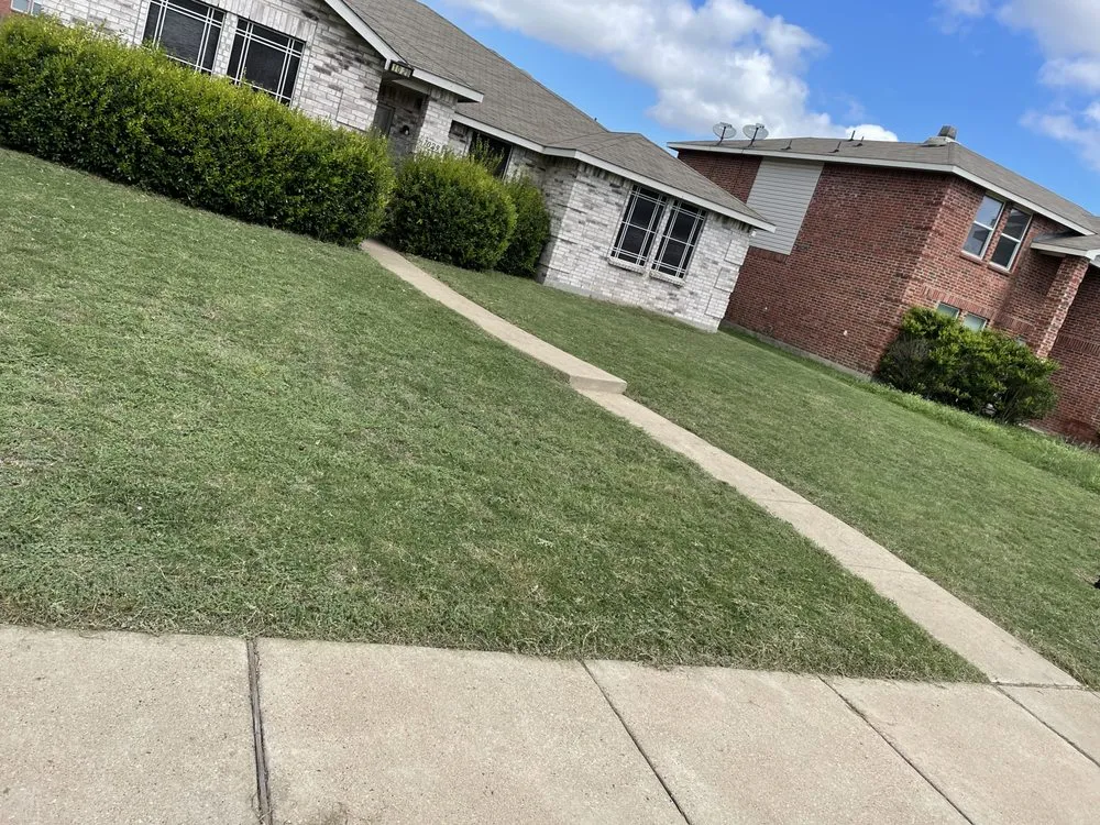 Trusted lawn mowing service experts serving DeSoto, TX - Poe's Lawn Improvement