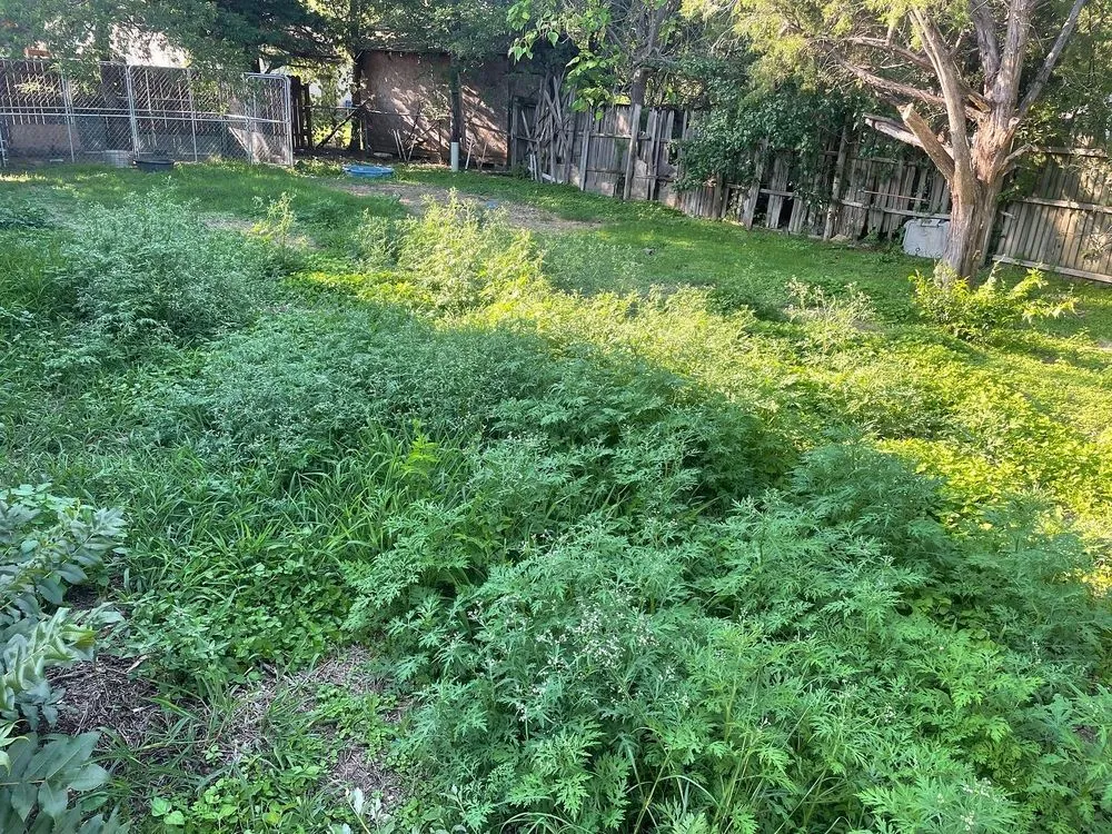 Custom yard cleanup service near you across DeSoto, TX - Poe's Lawn Improvement