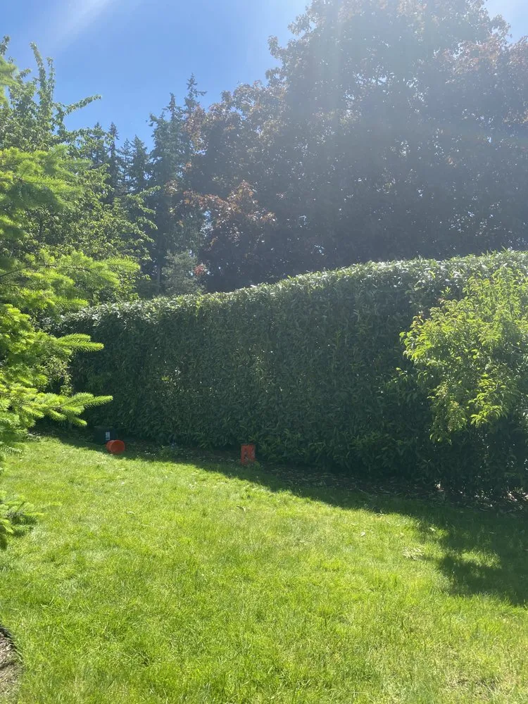 Affordable landscaping services for homes across Marysville, WA - Poe’s PNW Landscaping