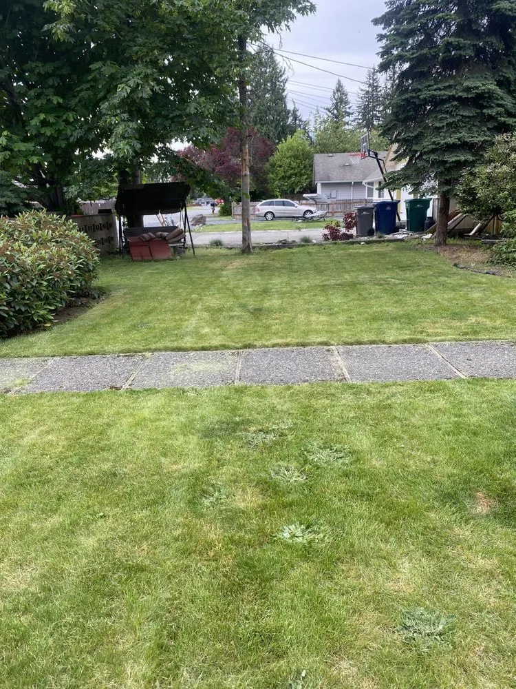 Custom yard cleanup service in Marysville, WA - POE’S PNW LANDSCAPING