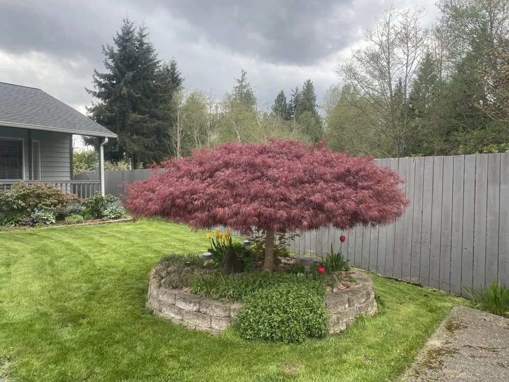 Trusted yard cleanup service in Marysville, WA - Poe’s PNW Landscaping