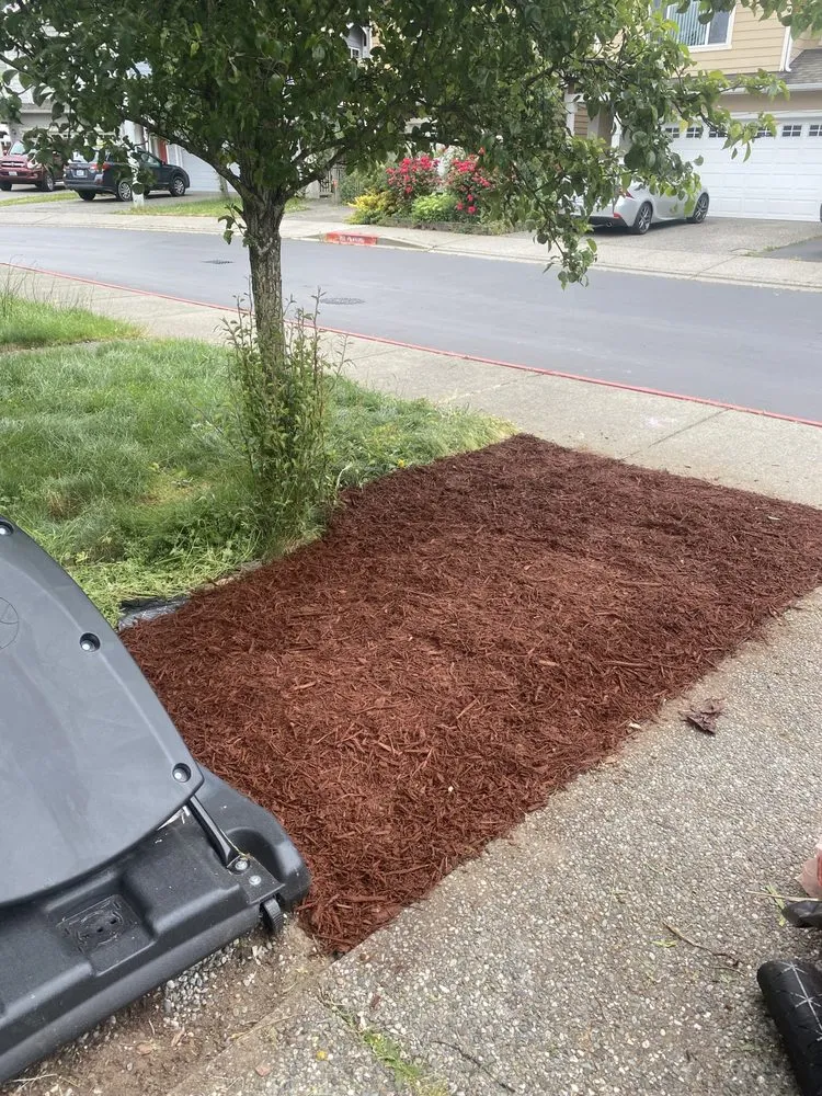 Professional yard maintenance in Marysville, WA by Poe’s PNW Landscaping