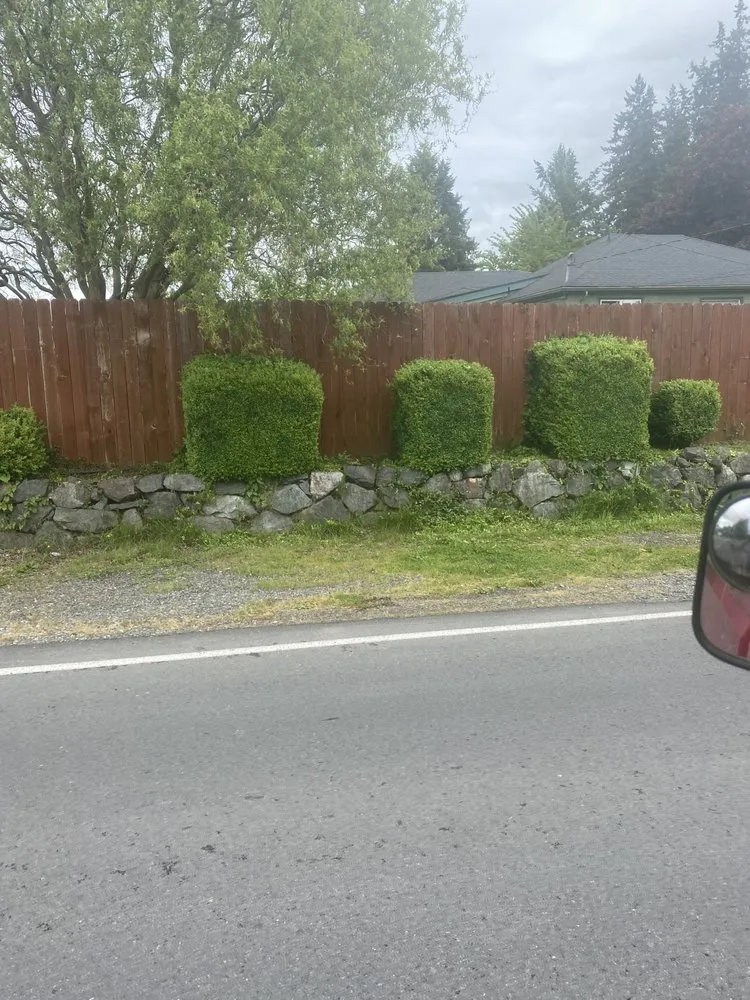 Expert lawn care service for homes across Marysville, WA - Poe’s PNW Landscaping