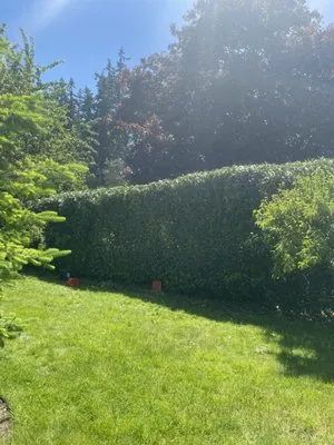 Poe’s PNW Landscaping Logo