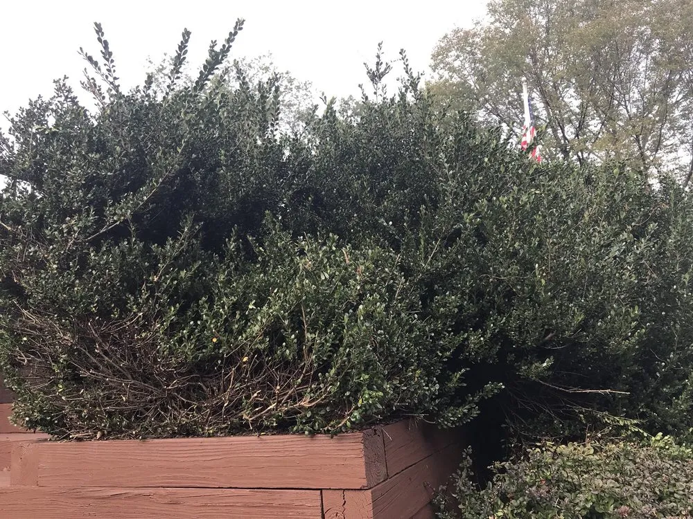 Top-rated lawn mowing service in Mendham, NJ - Poggi Landscaping