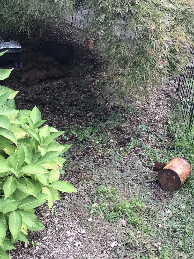 Expert landscape design experts serving Mendham, NJ - Poggi Landscaping