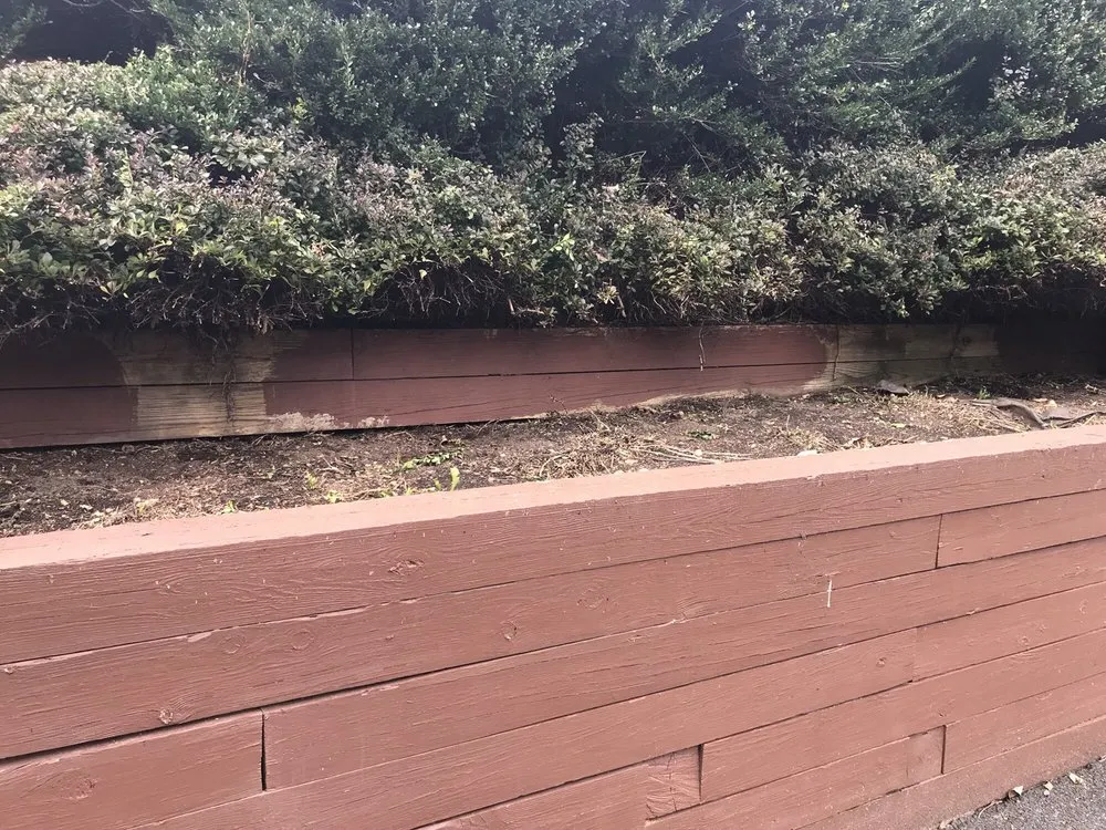 Custom yard maintenance with custom design across Mendham, NJ - Poggi Landscaping