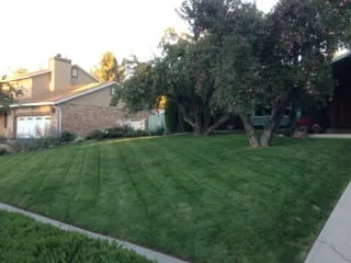 Custom yard maintenance with custom design in West Valley City, UT by Point 2 Point
