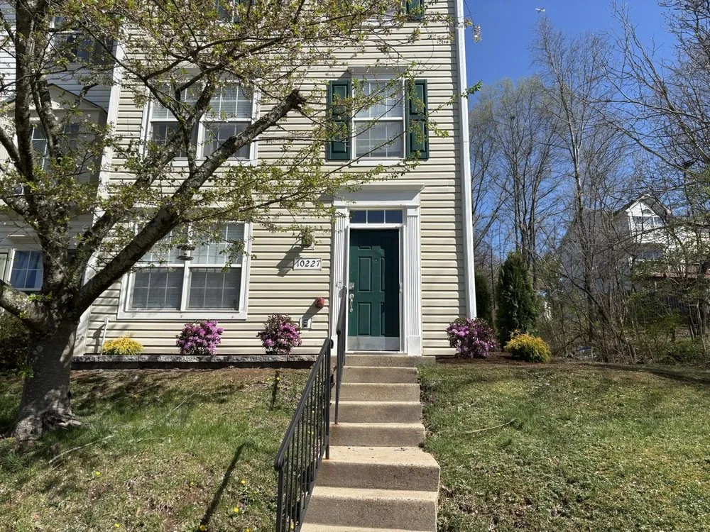 Reliable yard cleanup service in Manassas, VA - Point of View Landscaping