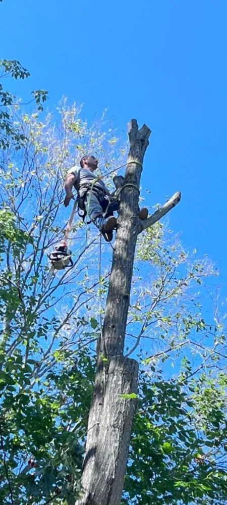 Professional landscape installation in Manassas, VA - Point of View Landscaping