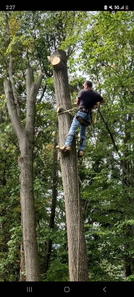 Professional residential landscaping for outdoor upgrades across Manassas, VA - Point of View Landscaping
