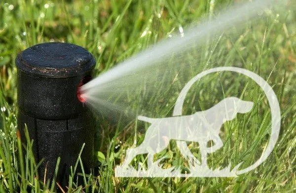 Expert outdoor landscaping in Franklin, TN - Point Outdoors