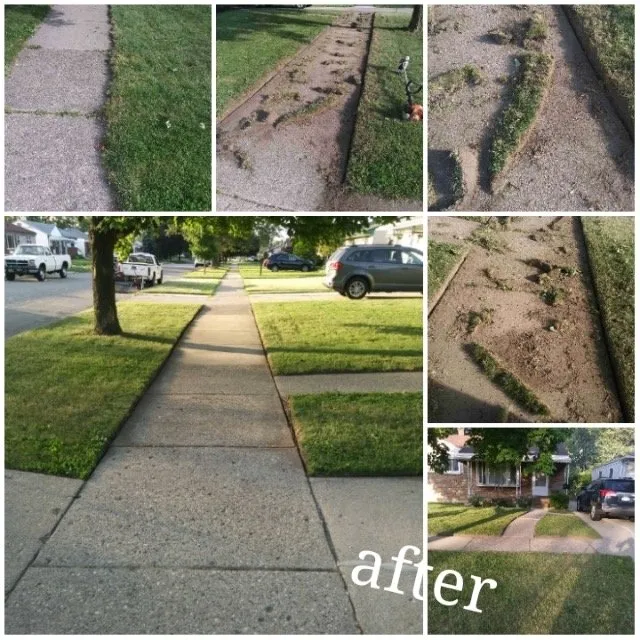 Local outdoor landscaping with custom design in Grosse Pointe, MI by Pointe Hill’s Landscaping