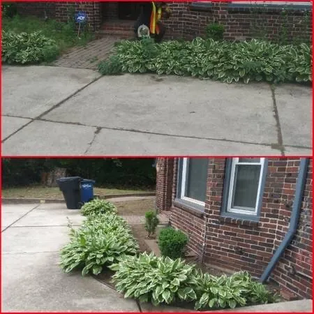 Professional yard cleanup service in Grosse Pointe, MI by Pointe Hill’s Landscaping