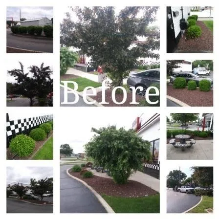 Expert yard maintenance experts serving Grosse Pointe, MI - Pointe Hill’s Landscaping