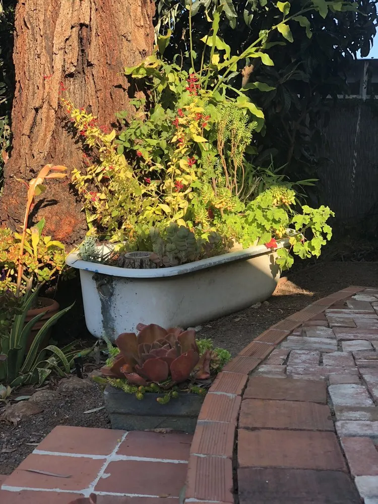 Top-rated lawn care service for outdoor upgrades in Oakland, CA by Poirier Garden Designs