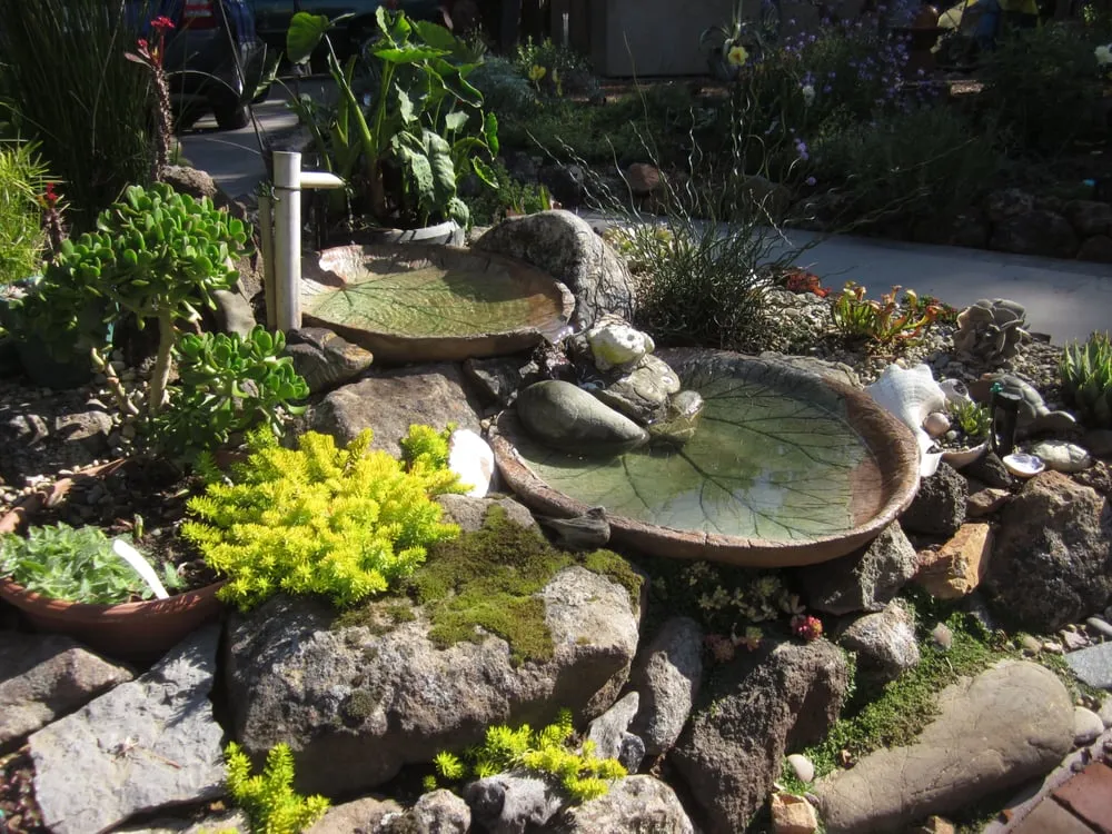 Professional landscape design in Oakland, CA - Poirier Garden Designs