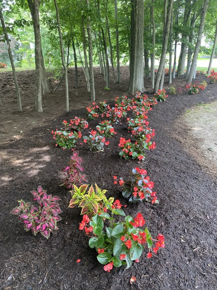 Top-rated outdoor landscaping in Cazenovia, NY by Poison Ivy Chronicles