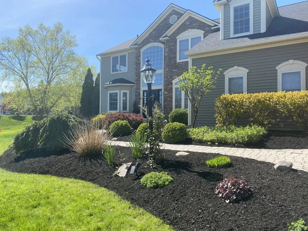 Affordable landscape installation for beautiful yards across Cazenovia, NY - Poison Ivy Chronicles