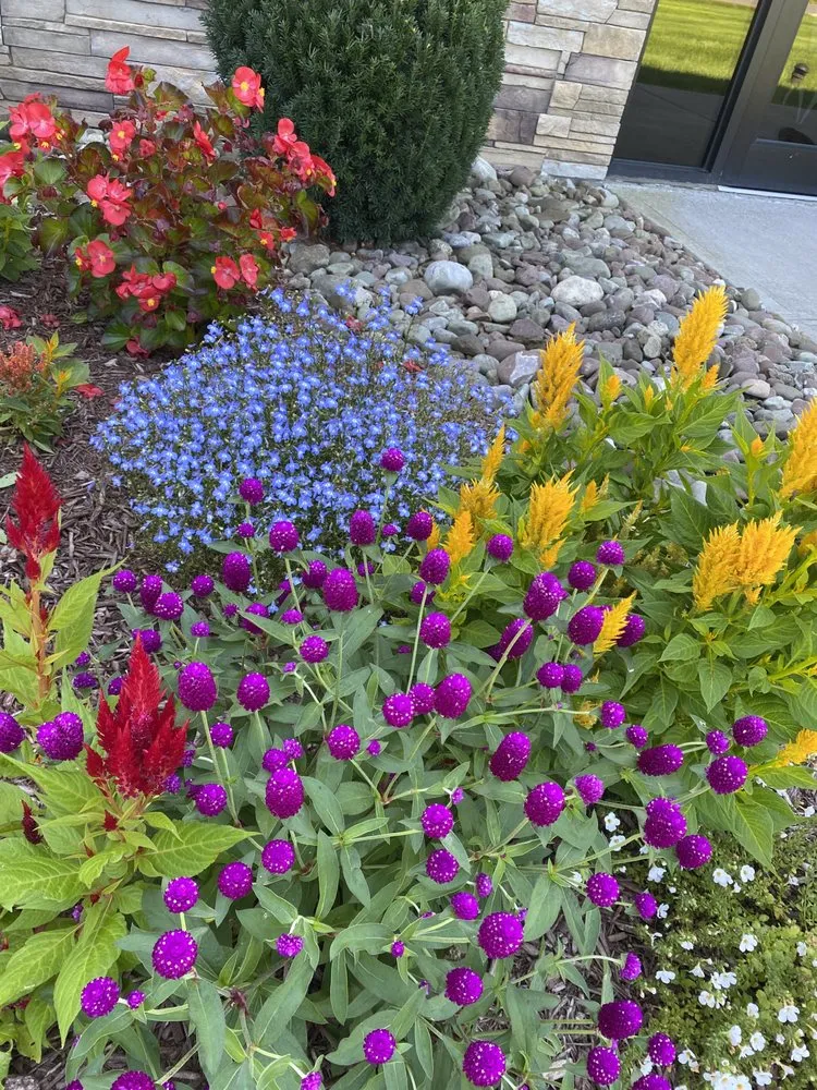 Trusted outdoor landscaping for beautiful yards across Cazenovia, NY - Poison Ivy Chronicles