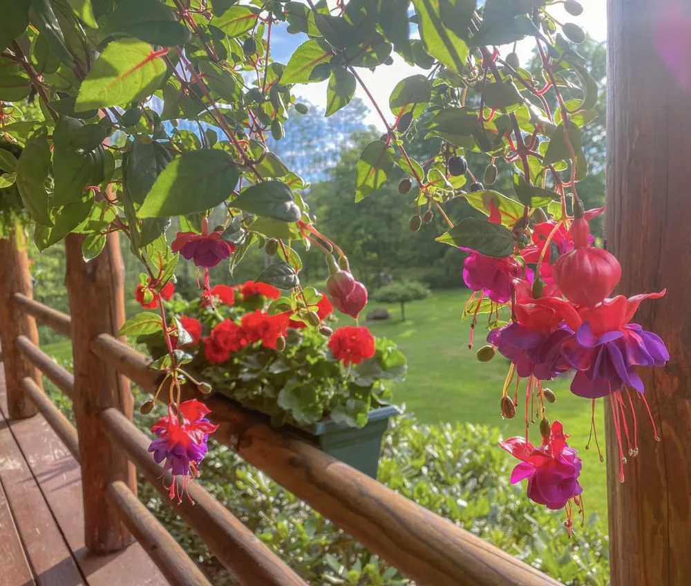 Affordable landscape installation for beautiful yards across Cazenovia, NY - Poison Ivy Chronicles