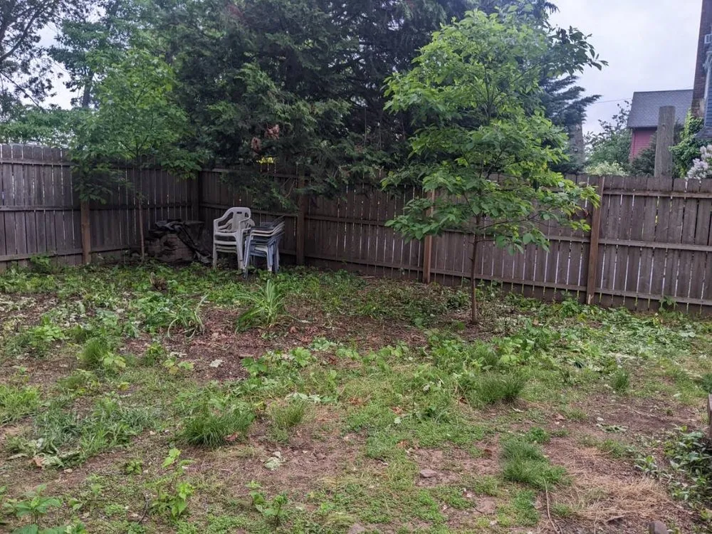 Reliable landscaping services experts serving Accord, NY - Poison Ivy Doc