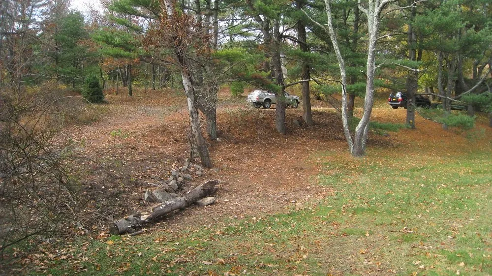 Trusted lawn care service for residential properties across High Falls, NY - Poison Ivy Patrol Specialty Landscaping