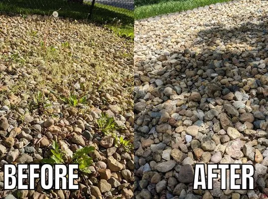 Poison Ivy Removal Logo