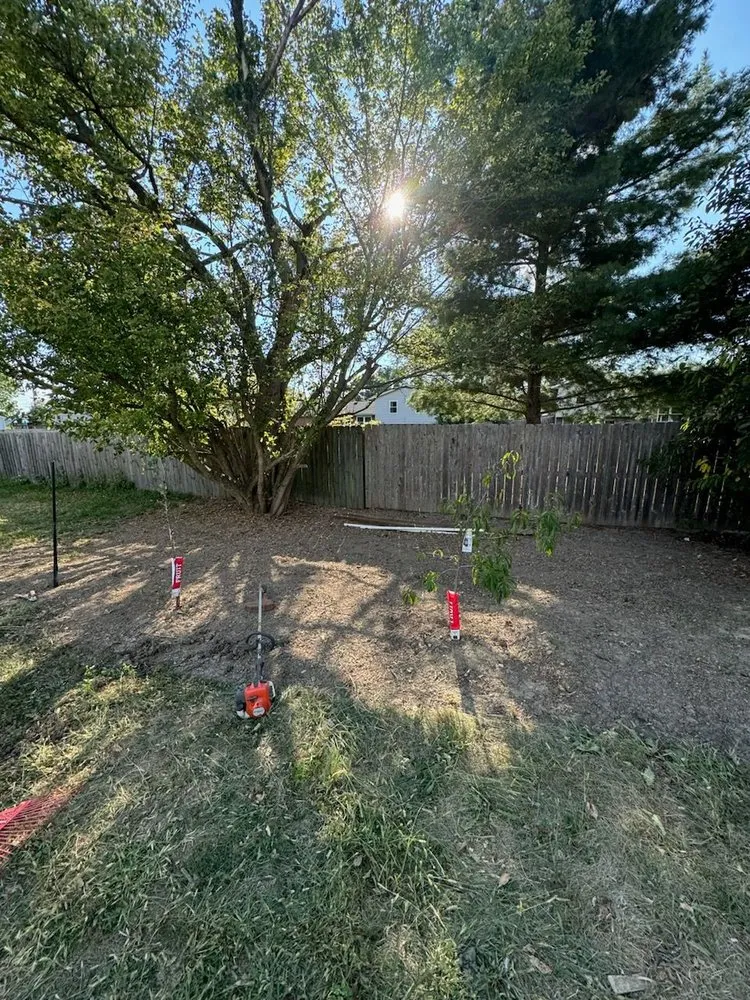 Custom landscape installation for year-round maintenance across Richmond, IN - Poison Ivy Removal
