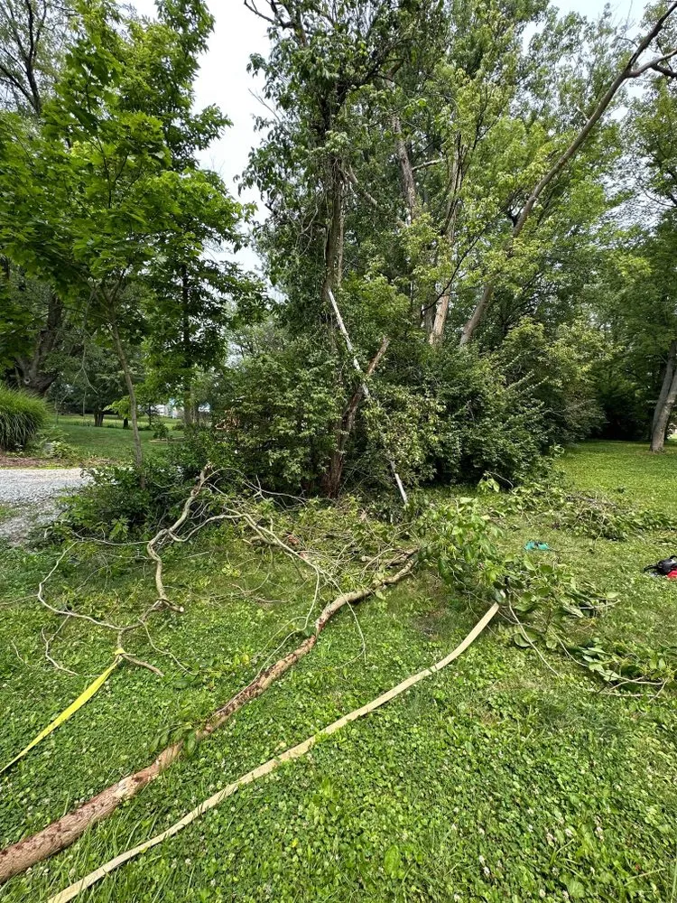 Professional garden landscaping experts serving Richmond, IN - Poison Ivy Removal