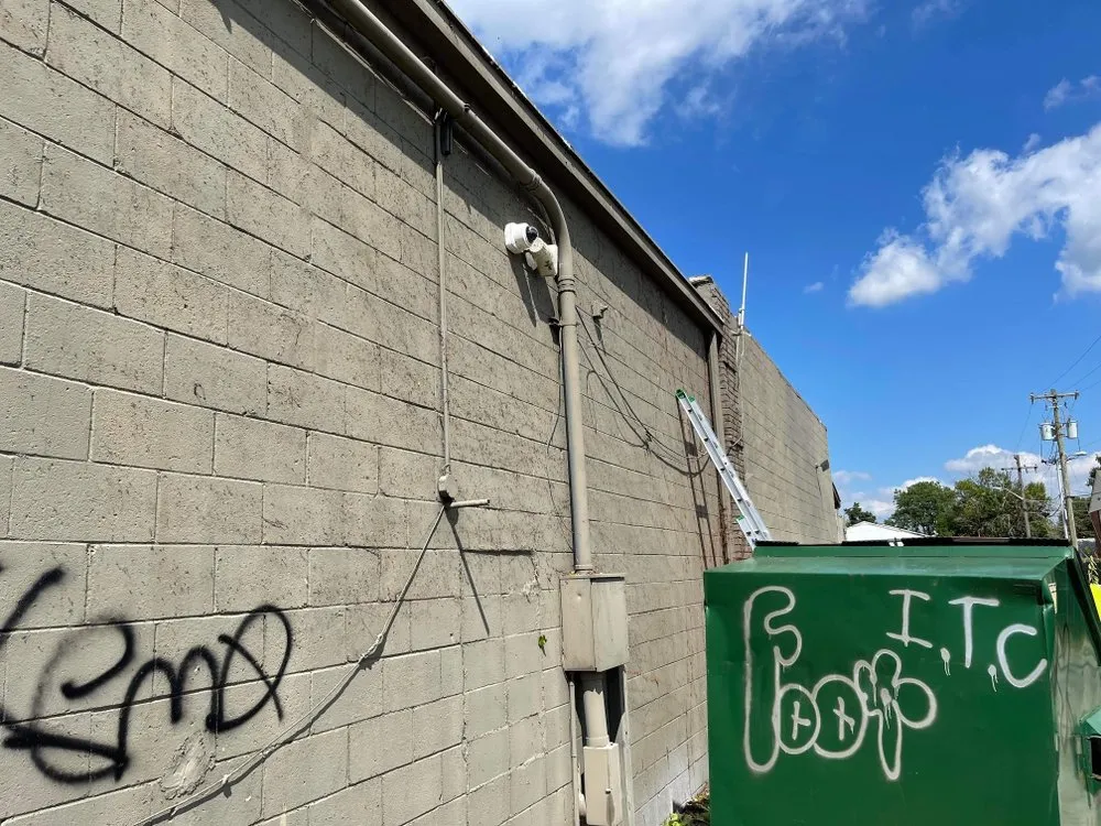 Trusted lawn care service for year-round maintenance across Richmond, IN - Poison Ivy Removal