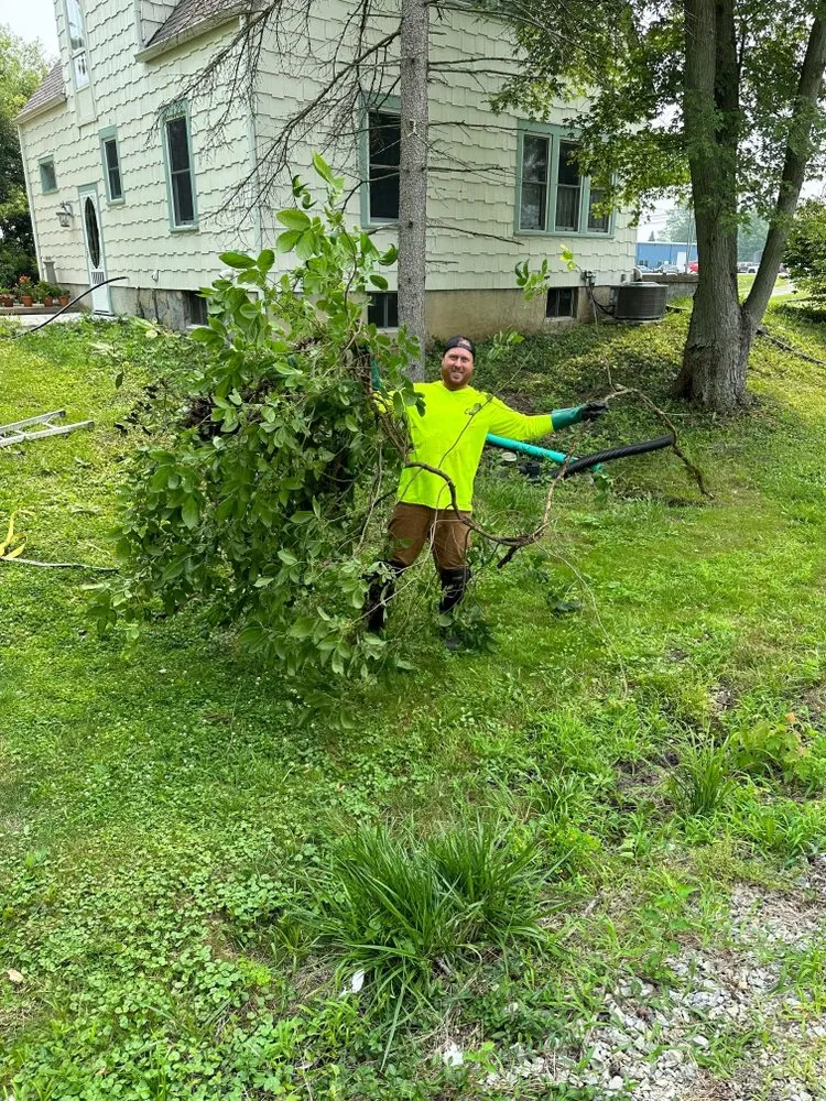 Professional lawn care service in Richmond, IN - Poison Ivy Removal