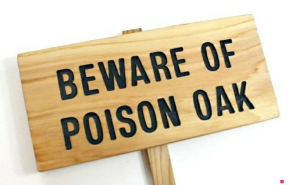 Trusted residential landscaping in Oceano, CA - Poison oak removal