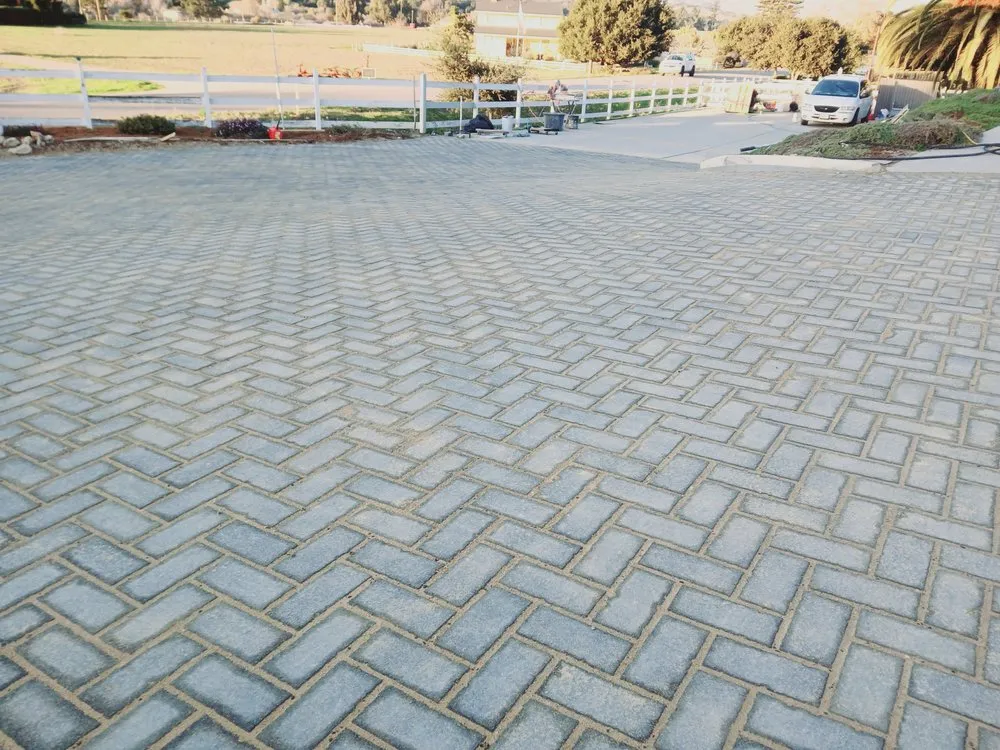 Professional lawn mowing service in Oceano, CA - Poison oak removal