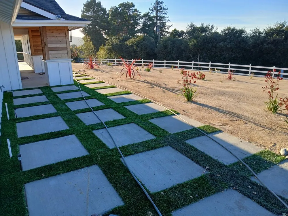 Trusted yard maintenance in Oceano, CA - Poison oak removal