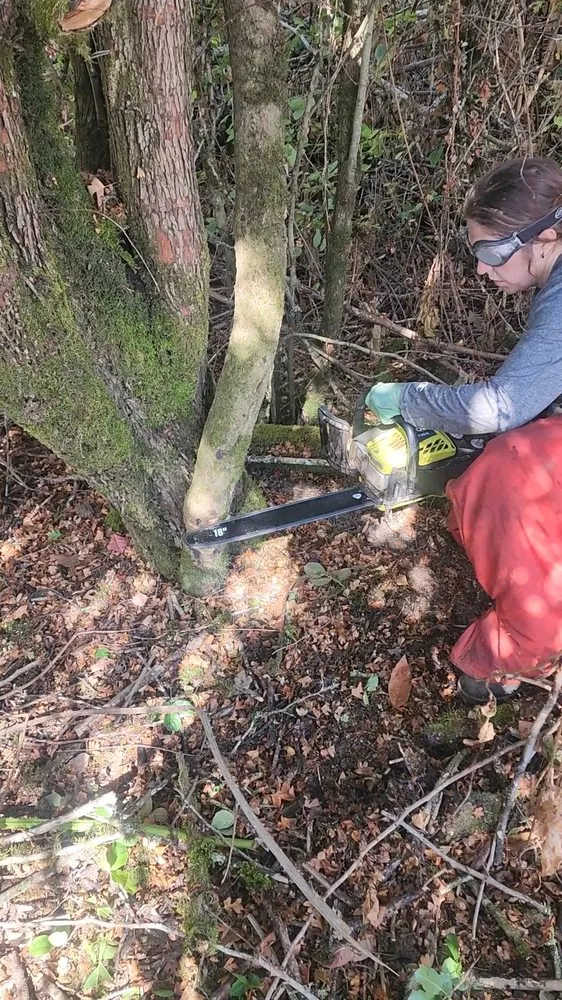 Expert residential landscaping in Monroe, OR - Poison Oak Solutions