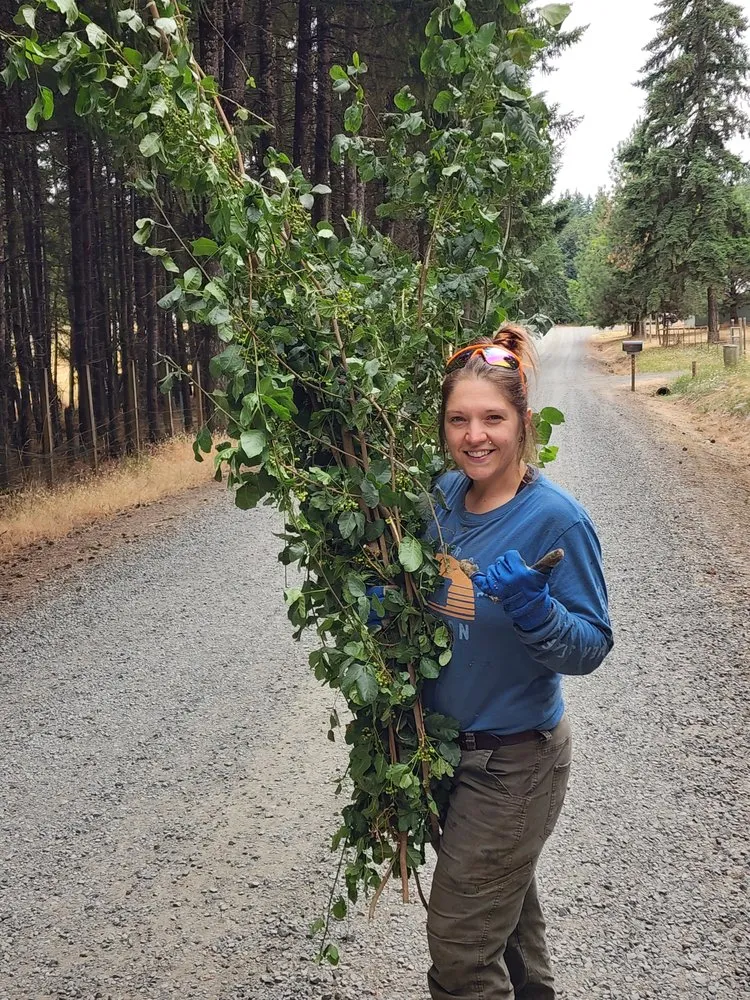 Custom landscape design experts serving Monroe, OR - Poison Oak Solutions