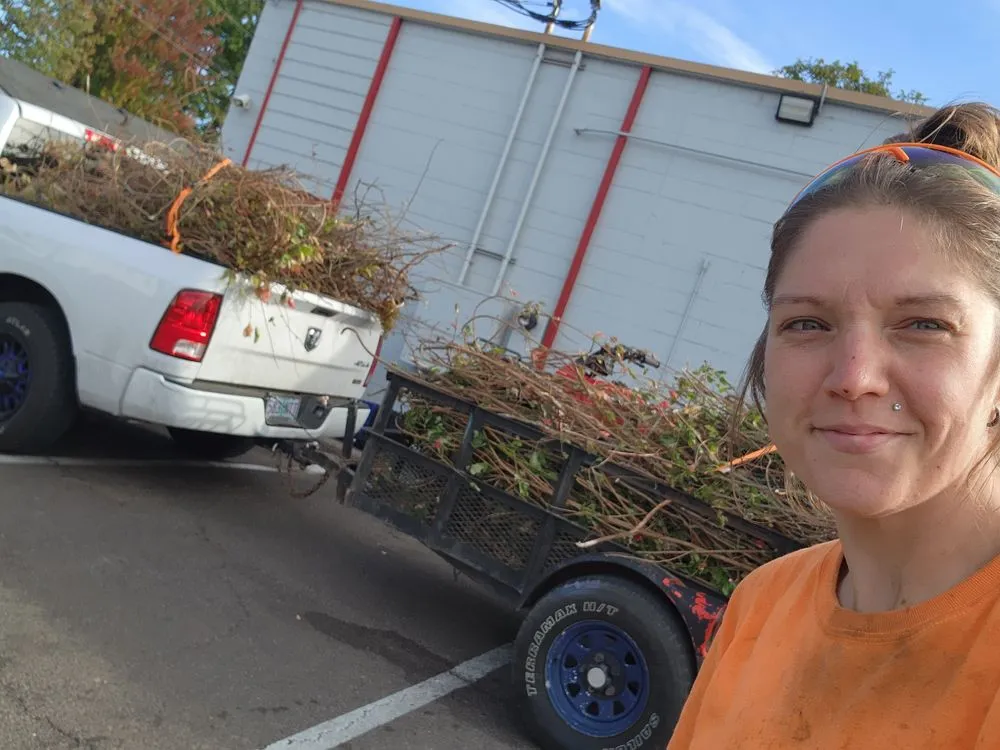 Reliable yard cleanup service in Monroe, OR by Poison Oak Solutions