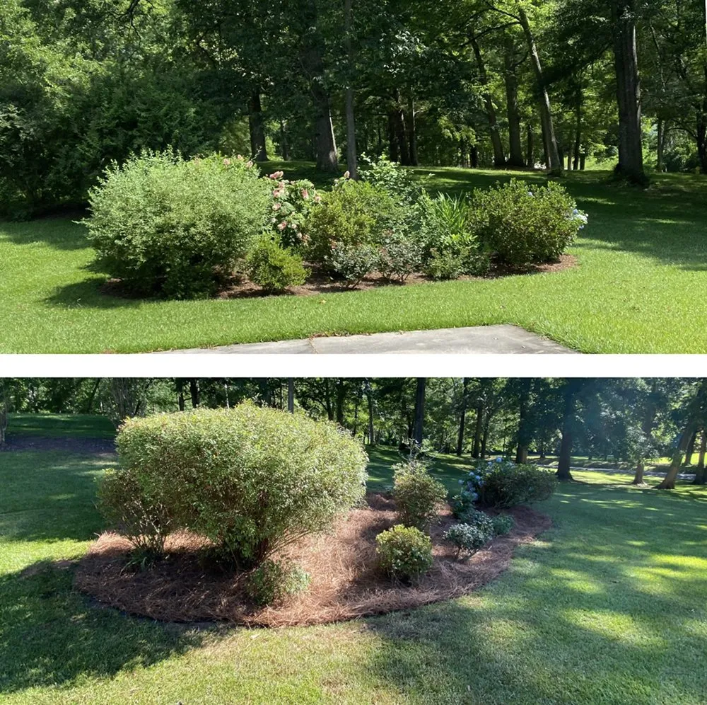 Custom yard cleanup service in Ashland, AL - Pokey Gilbert’s Lawn Care