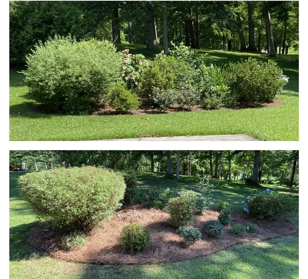 Professional yard cleanup service in Ashland, AL - Pokey Gilbert’s Lawn Care