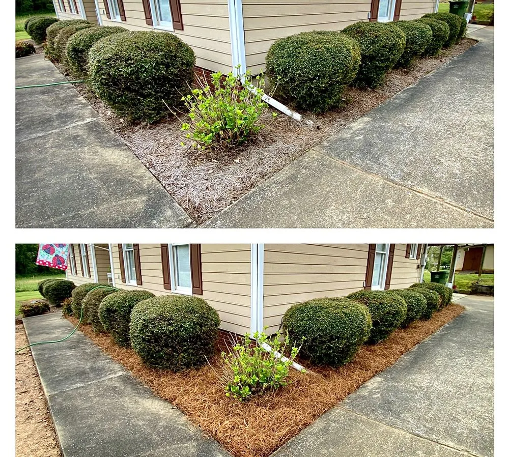 Professional lawn care service for year-round maintenance across Ashland, AL - Pokey Gilbert’s Lawn Care