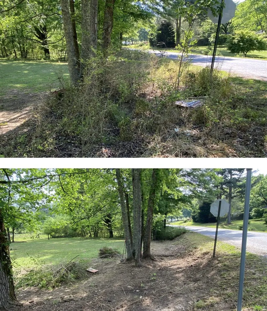 Reliable yard cleanup service in Ashland, AL - Pokey Gilbert’s Lawn Care