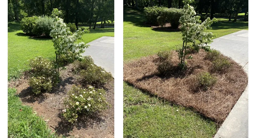 Top-rated landscape design for outdoor upgrades across Ashland, AL - Pokey Gilbert’s Lawn Care