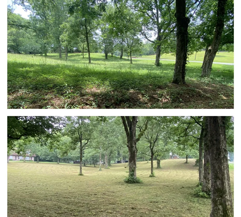 Expert lawn care service in Ashland, AL by Pokey Gilbert’s Lawn Care