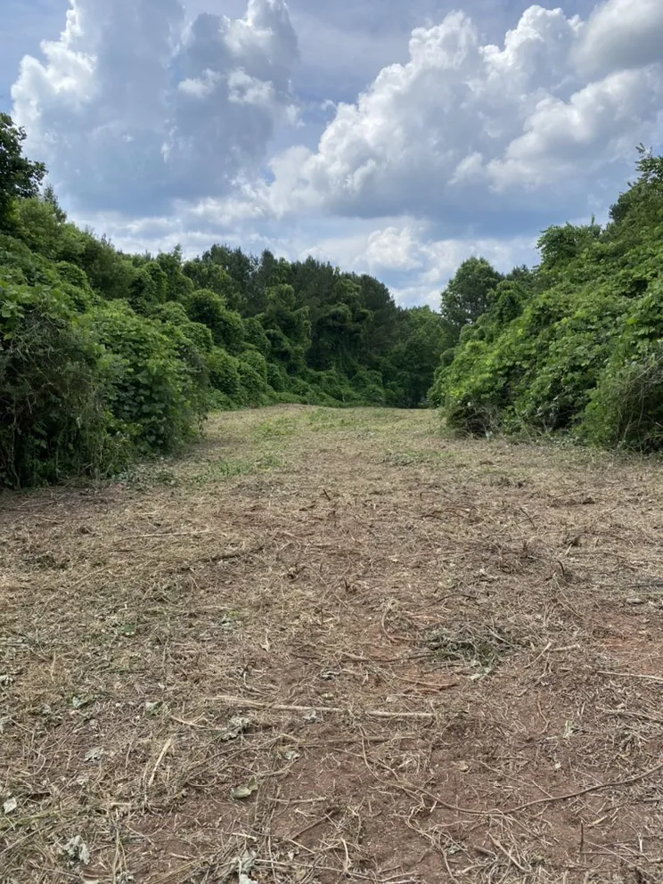 Affordable landscaping services with custom design in Ashland, AL by Pokey Gilbert’s Lawn Care