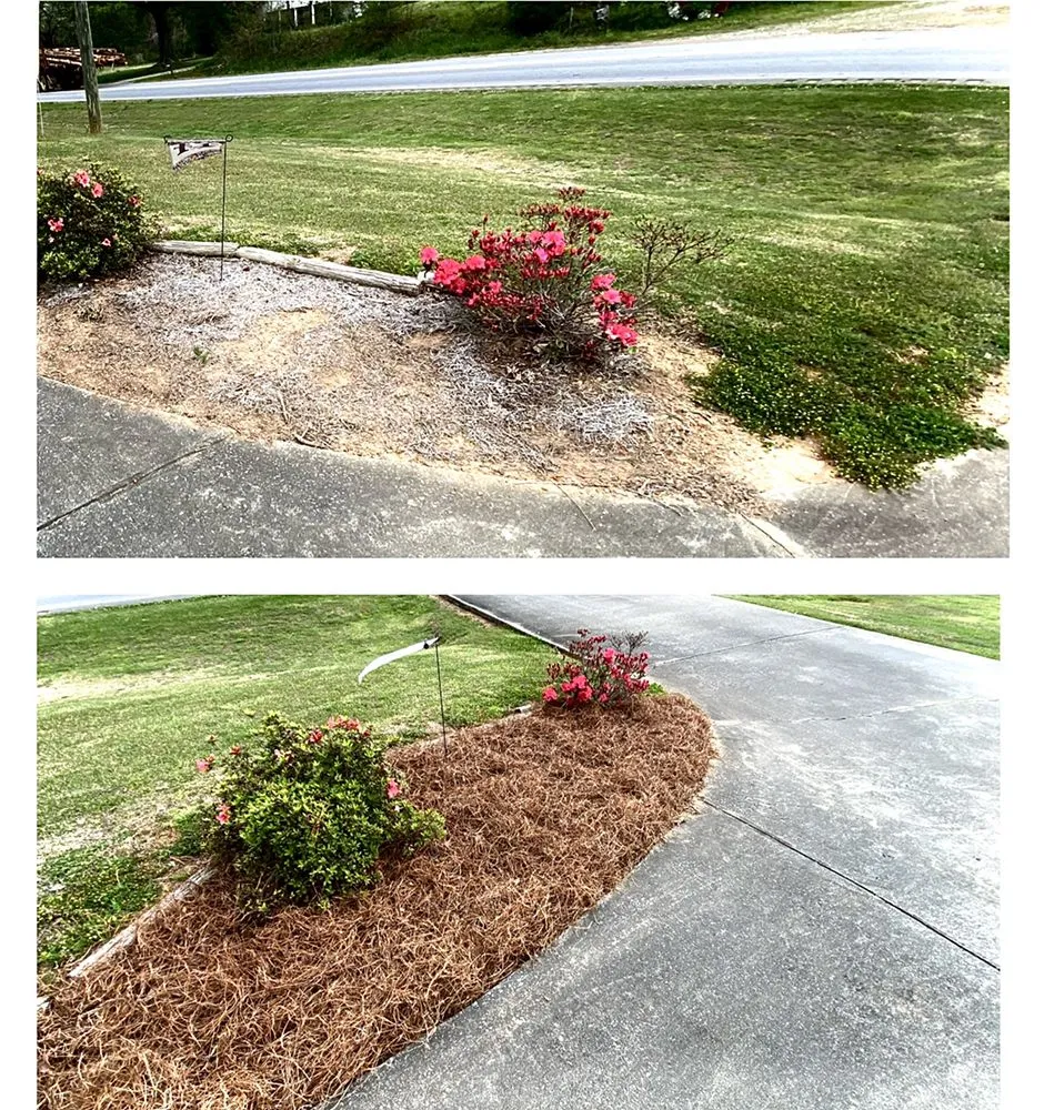 Expert landscape installation in Ashland, AL by Pokey Gilbert’s Lawn Care